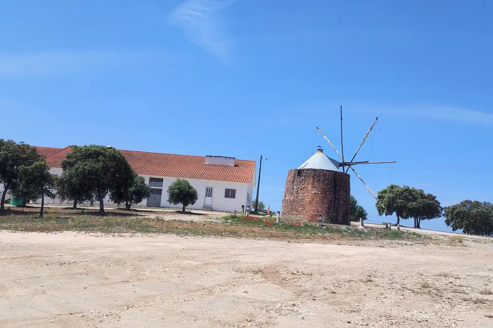 Whitewashed windmill next to a farm building on a sandy plain