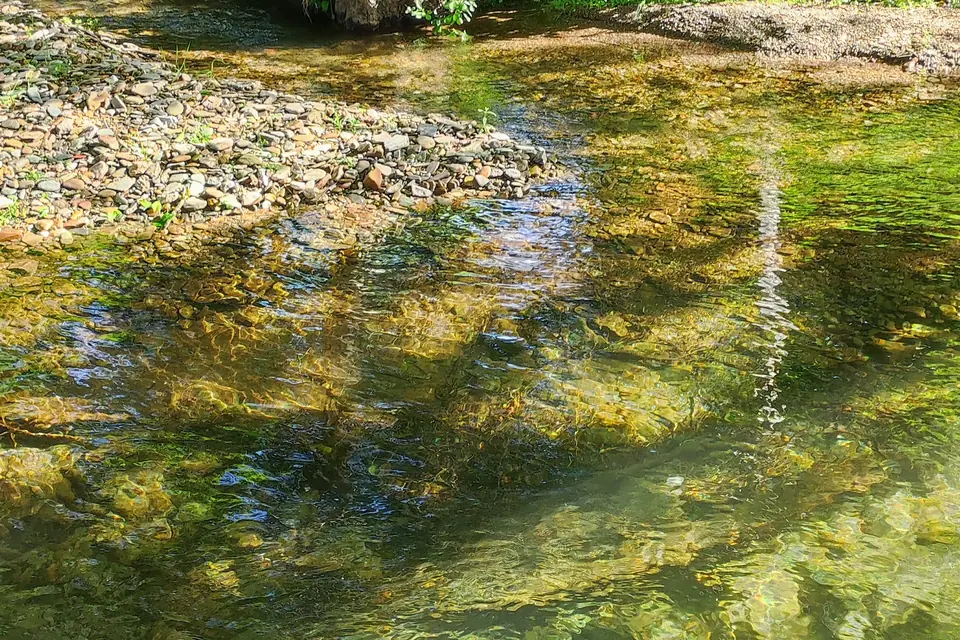 Clear shallow stream running over pebbles and green algae