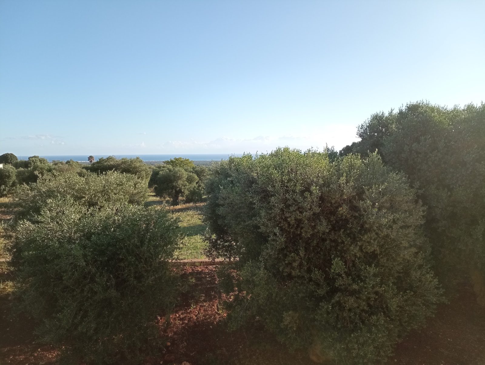 Exploring the Best Bike Trails in Salento: A Comprehensive Guide