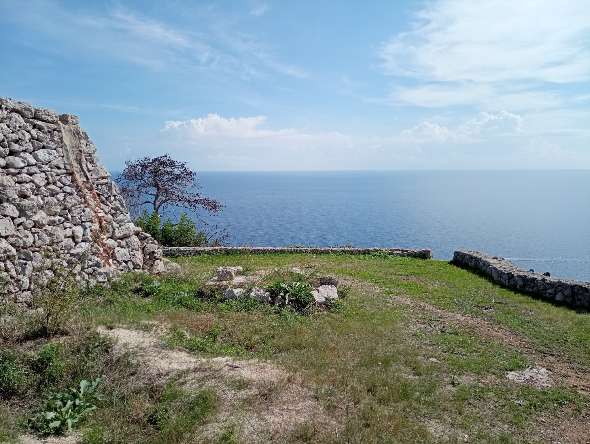 leuca